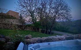 Maisonnette jardin jacuzzi au cœur de Chambles